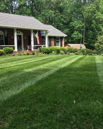 Lawn Mowing