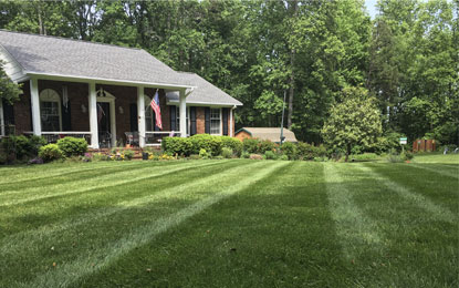 Carolina Custom Landscaping Weekly Mowing