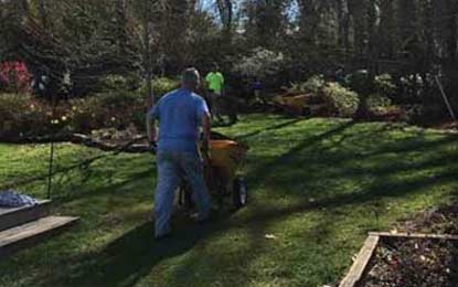 Carolina Custom Landscaping Seasonal Services